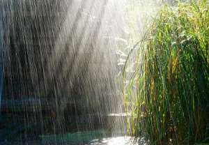 پیش بینی آخر هفته بارانی برای استان