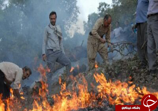 مهار آتش سوزی در منطقه جنگلی خرسی پاسارگاد + تصاویر