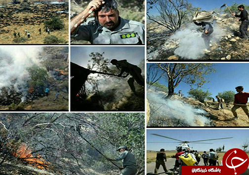 مهار آتش سوزی در منطقه جنگلی خرسی پاسارگاد + تصاویر