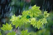 احتمال بارشهای پراکنده  برای استان