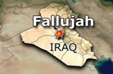 کمر داعش در "فلوجه" شکست/شمارش معکوس آزاد سازی مرکز استان "نینوا"  + نقشه و جزئیات