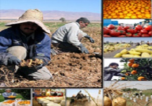 کاهش ضایعات محصولات کشاورزی در راستای اهداف اقتصاد مقاومتی