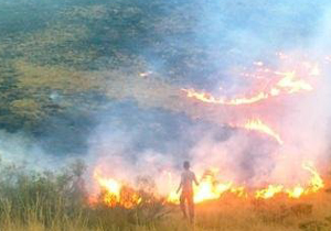 آتش سوزی در 10 هکتار از مراتع دیناران اردل