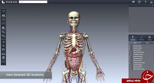 آناتومی بدنتان را سه بعدی ببنید 