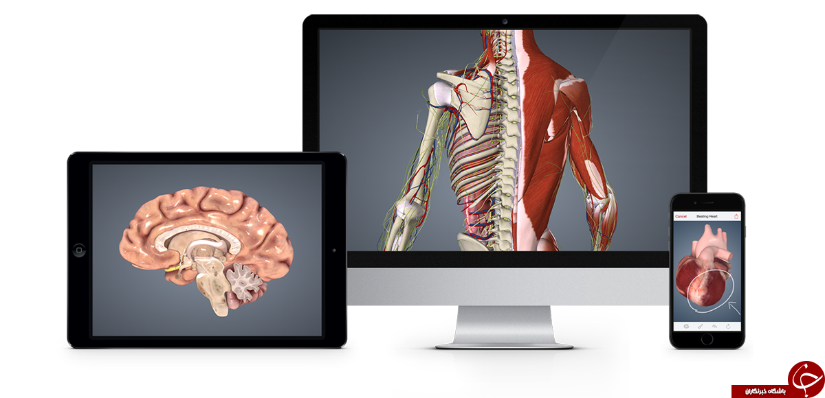 آناتومی بدنتان را سه بعدی ببنید 