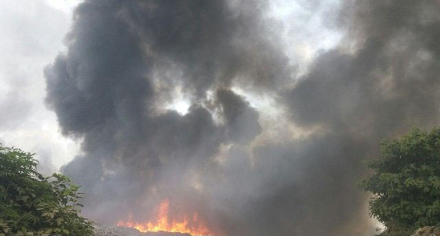 مهار آتش در جنگل های چالوس، احتمال عمدی بودن + تصاویر