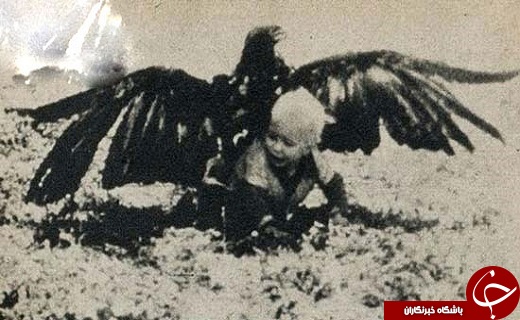 شکار پسر بچه‌ای ۳ ساله توسط عقاب +عکس
