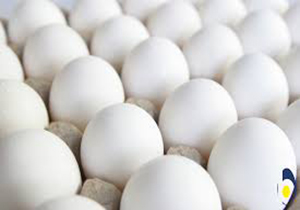 پیش‌بینی تولید ۱۶۰ تن تخم‌مرغ خرم‌آباد