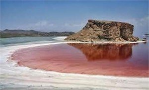 باکتری ها، مقصر سرخی آب دریاچه ارومیه