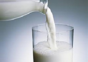 نرخ شیر خام افزایش یافت/ طرح خرید حمایتی محدودیت زمانی ندارد
