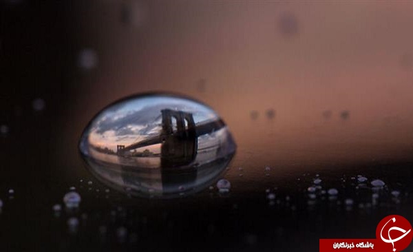جهان در نگاه قطره‌های آب + تصاویر