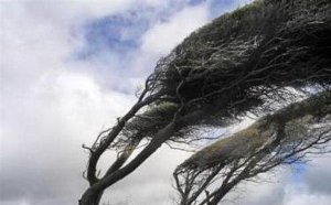 وزش باد شدید در استان