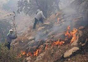 آتش‌سوزی در جنگل‌های بزداغی مانه و سملقان