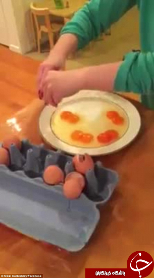 چه بلایی سر این تخم مرغ‌ها آمده است؟ +تصاویر
