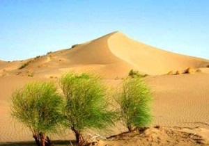 یک میلیون هکتار از بیابان‌های استان سمنان در معرض فرسایش