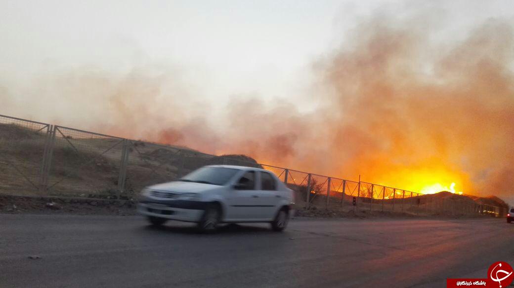 آتش‌سوزی در بیشاپور کازرون + تصاویر