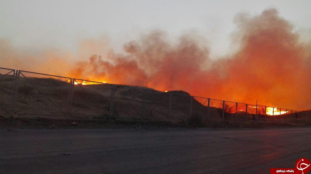 آتش‌سوزی در بیشاپور کازرون + تصاویر