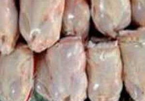 تولید14 هزار تُن گوشت سفید سالانه در نطنز