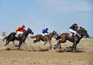 برگزاری مسابقه اسب سواری در جزیره قشم