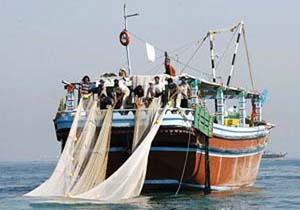 ممنوعیت صید ساردین ماهیان در قشم