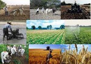 افتتاح 14 طرح کشاورزی در هفته دولت