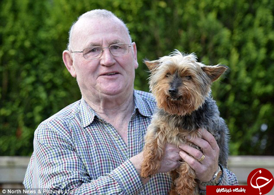 پیر ترین سگ بریتانیا جان خود را در حادثه از دست داد +تصاویر