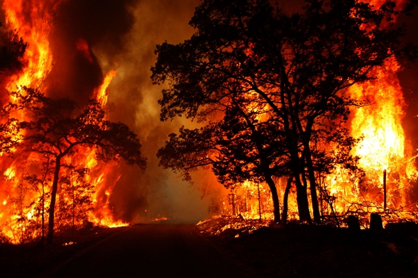 رابطه تامل برانگیز محدودیت‌های شغلی و آتش‌سوزی عمدی جنگل‌ها
