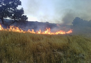 آتش سوزی در مراتع و جنگل های روستای کچوز