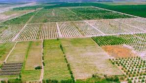 جهاد کشاورزی بوشهر پیشرو در اجرای طرح کاداستر