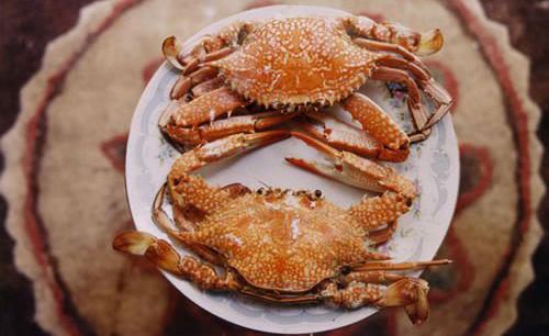 صادرات خرچنگ  به آلمان و امارات!
