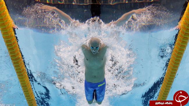 هیجان رقابت‌های شنا از لنز دوربین‌های زیرآب +تصاویر