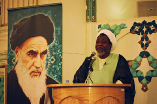 عضو برجسته جنبش اسلامی نیجریه: انقلاب ایران الهام‌بخش بسیاری از گروه‌های آزادی است/ از رابطه با تهران سود می‌بریم