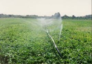 اجرای طرح آبیاری مدرن در سی و پنج هزار هکتار از اراضی کشاورزی