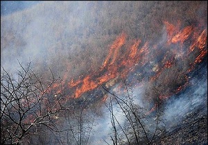 آتش در جنگل های گیلانغرب دوباره شعله ور شد