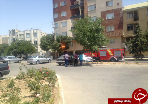 آتش گرفتن درخت در قزوین+تصاویر