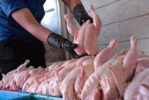 توزیع مرغ‌ منجمد با هدف تنظیم بازار در گلستان