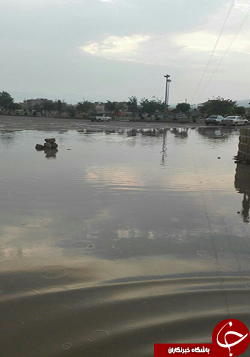 خسارت میلیاردی بارش باران در فسا + تصاویر