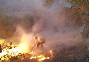 مهار 97 درصد آتش سوزی در عرصه های جنگلی ویسیان لرستان