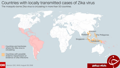 سی‌ان‌ان: حرکت ویروس زیکا در جهان سرعت گرفته است+ تصاویر