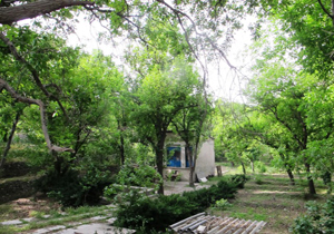تملک باغات خصوصی و تبدیل آنها به بوستان عمومی/ توسعه امکانات تفرجی بوستان جنگلی یاس فاطمی
