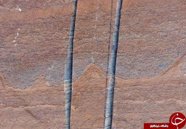کشف قدیمی‌ترین فسیل جهان در استرالیا +عکس