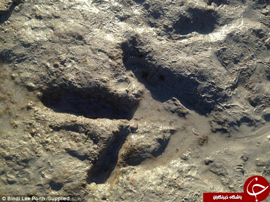 کشف اتفاقی جای پای دایناسور در ساحل +تصاویر
