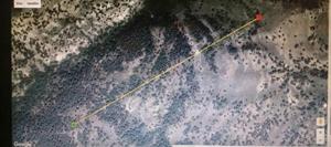 گستردگی مسیرهای حرکتی ماده پلنگ هیرکان در پارک ملی گلستان