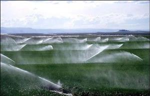 اجرای سیستم آبیاری نوین در 56 هزار هکتار اراضی کشاورزی
