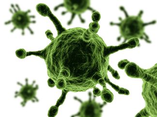 آنتی بیوتیک های طبیعی/ دشمن واقعی ویروس‌ها را بشناسید