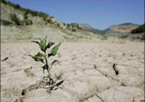 ادامه روند خشکسالی ها در فارس