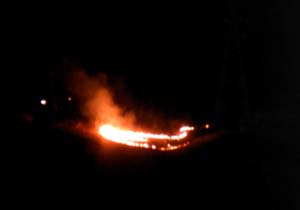 آتش سوزی گسترده مزرعه گندم! + فیلم