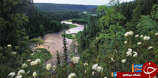 عکس/ پارک 4 فصل/ ترکیبی منحصر به فرد از طبیعت شمال ،جنوب و شرق فنلاند