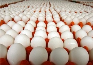 کشف بیش از 2 تن تخم مرغ غير قابل مصرف