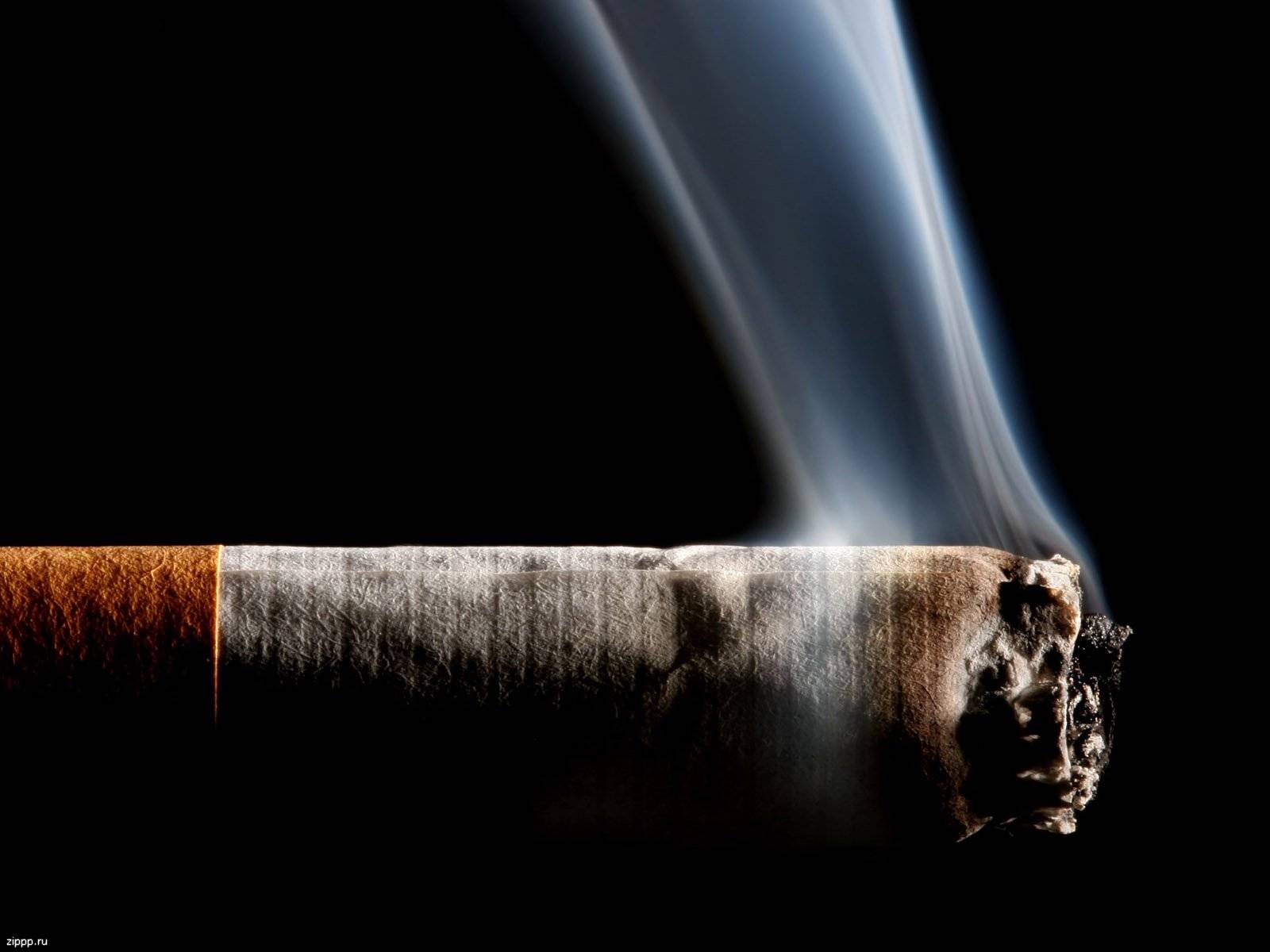نتایج یک تحقیق: ایتالیا دارای بیشترین تعداد جوانان سیگاری در اروپا